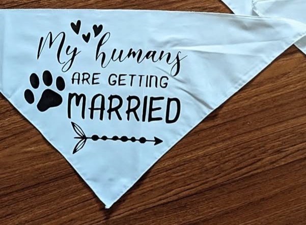 Dog bibs