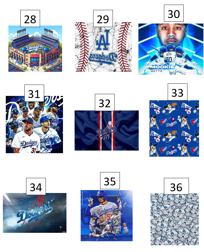 Dodger Tumbler designs